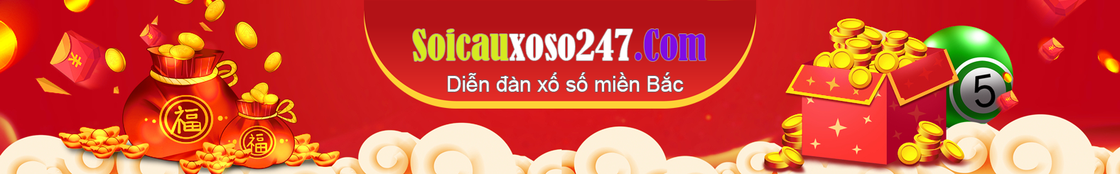 soi cau