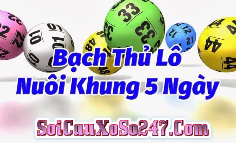 Kinh nghiệm chơi bạch thủ lô 5 ngày 