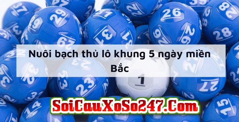 vào tiền nuôi lô khung 5 ngày